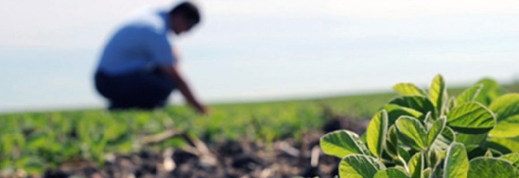 Agrónomos en Huacho Lima Perú