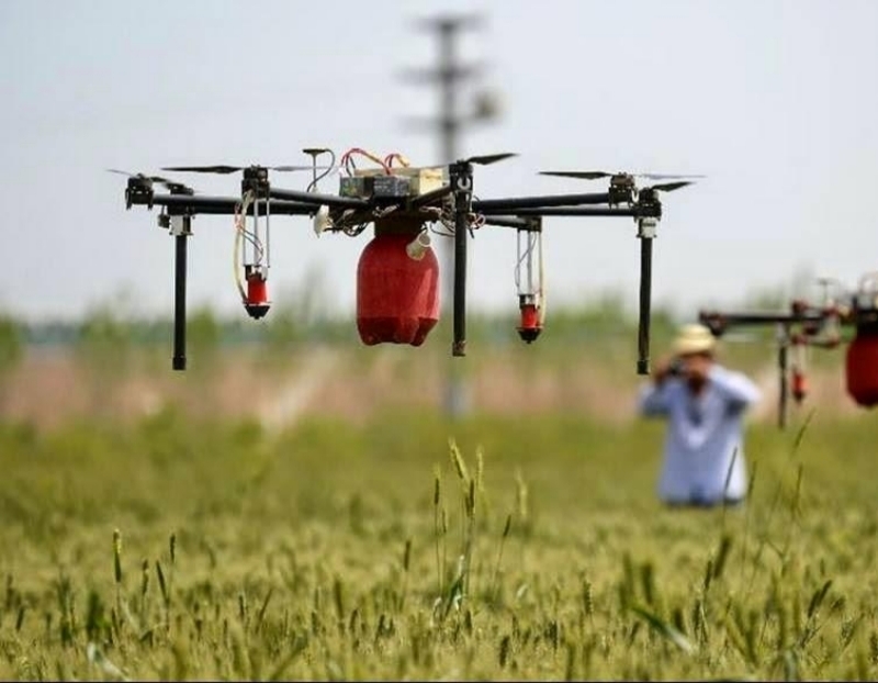 Empresas Agroindustriales en Huacho Lima Perú